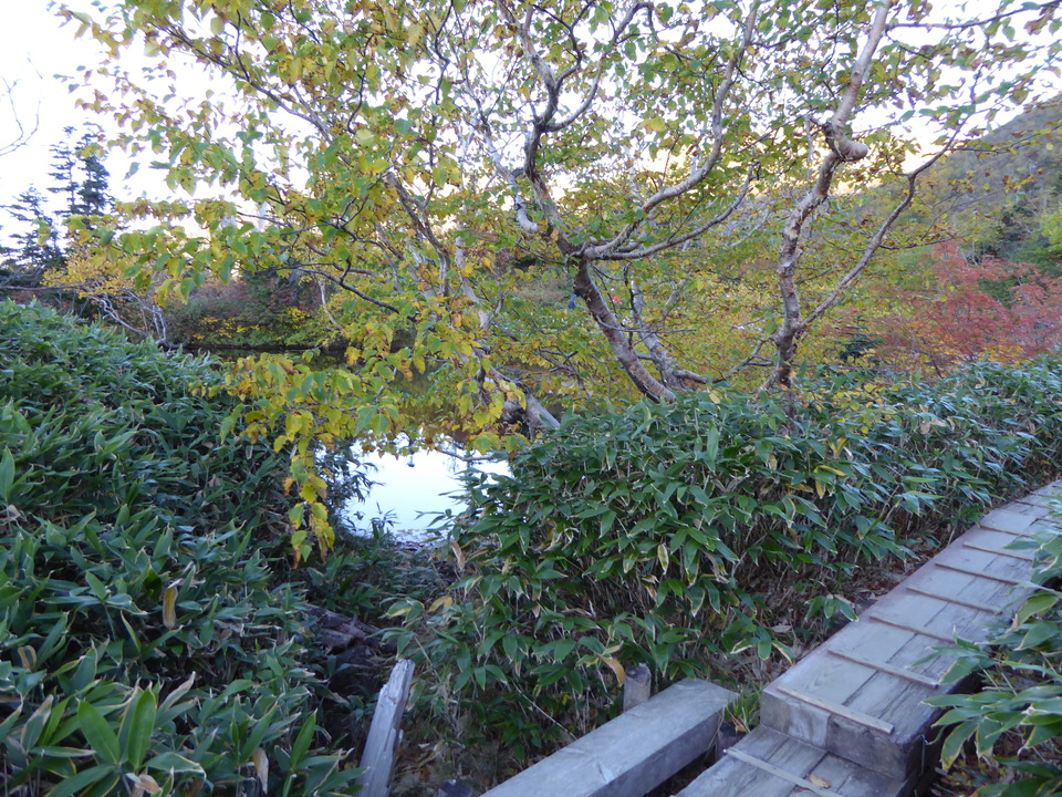 P1030589_mid.jpg