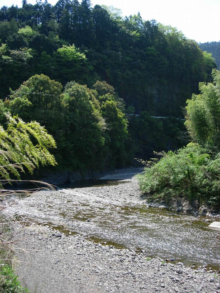 DSCN1341_mid.jpg