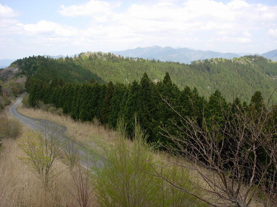 DSCN1372_mid.jpg