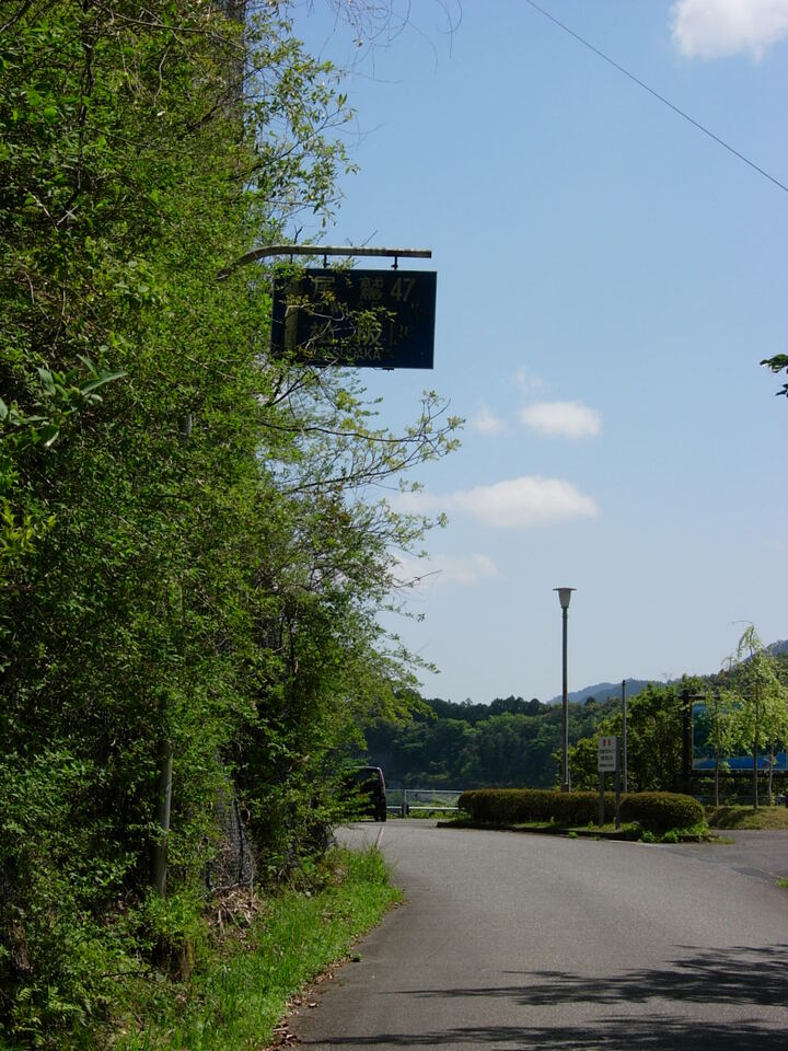 DSCN1391_mid.jpg
