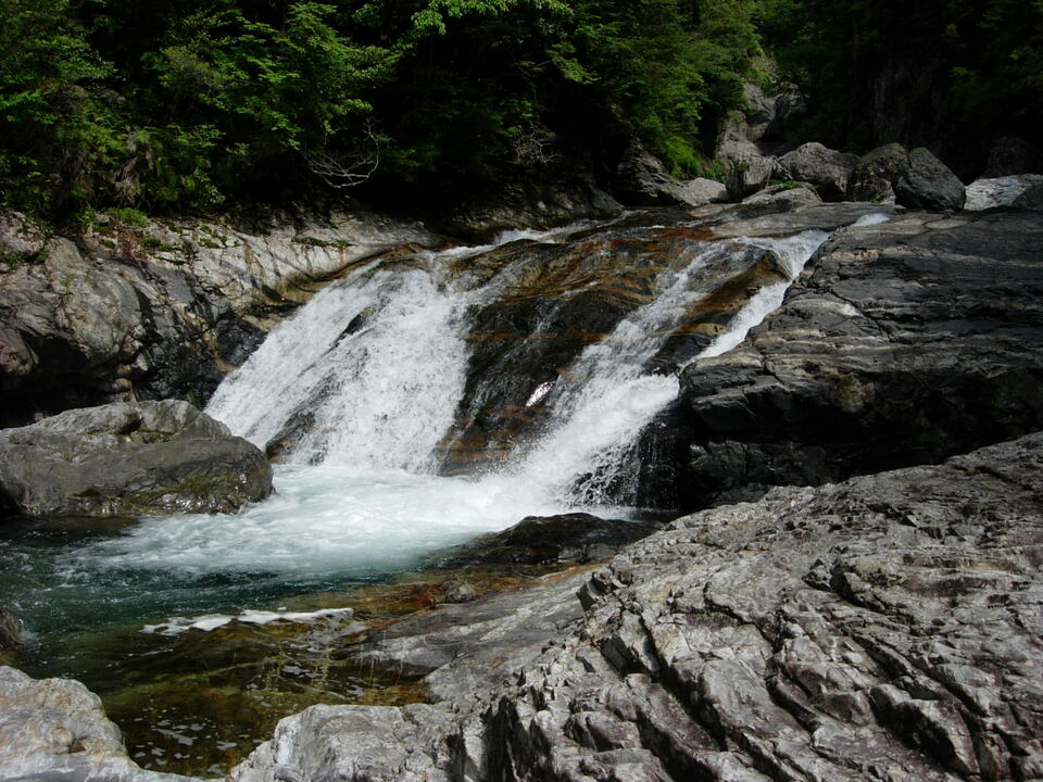 DSCN2325_mid.jpg
