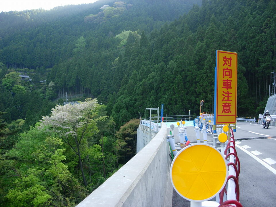 DSCN3208_mid.jpg