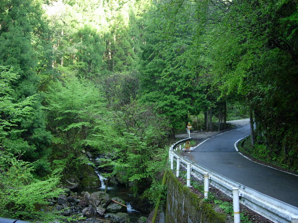 DSCN3217_mid.jpg
