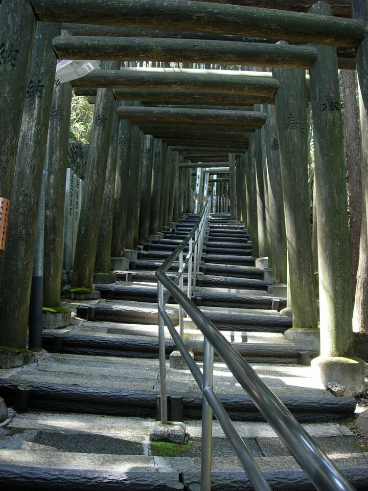 DSCN3246_mid.jpg