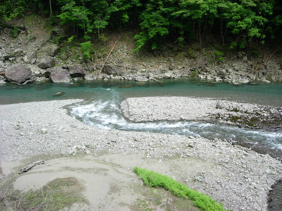 DSCN3583_mid.jpg