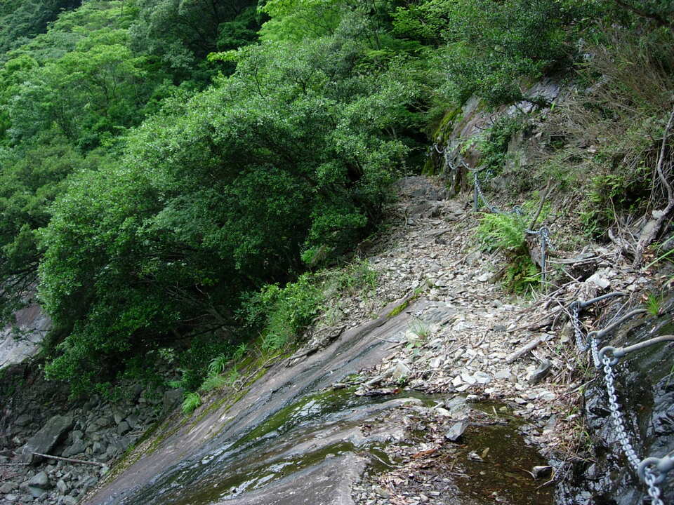 DSCN3588_mid.jpg
