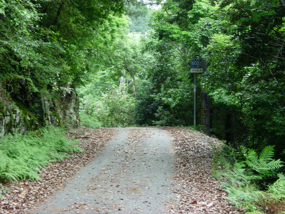 DSCN3613_mid.jpg