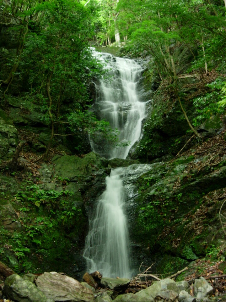 DSCN3619_mid.jpg