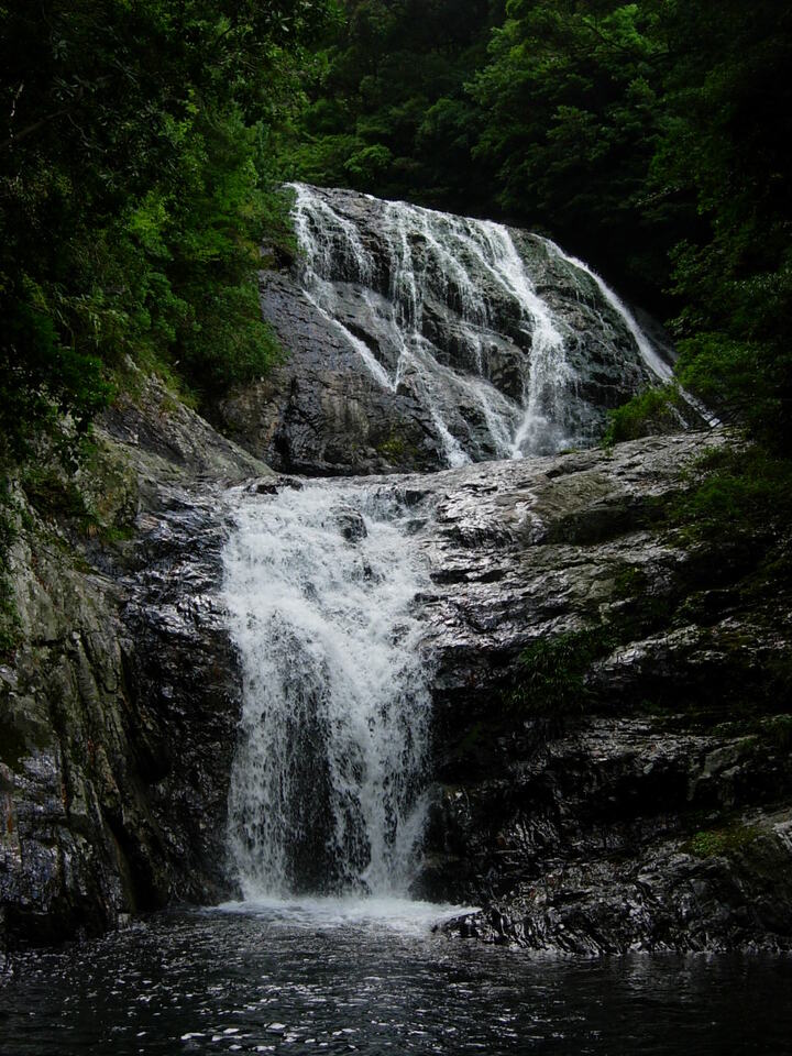 DSCN3742_mid.jpg