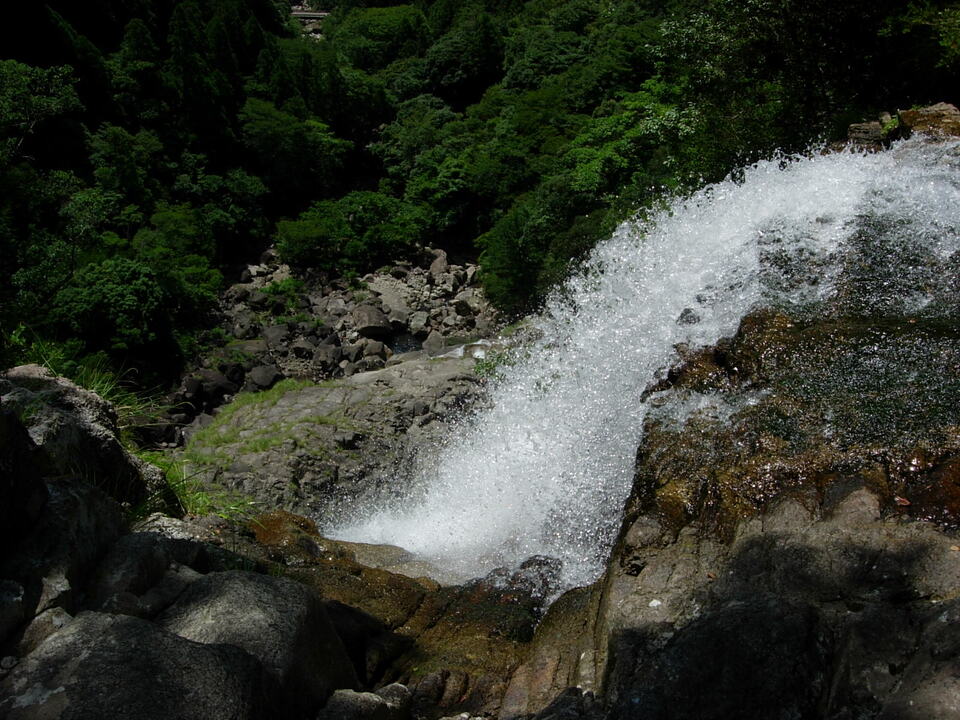 DSCN3782_mid.jpg