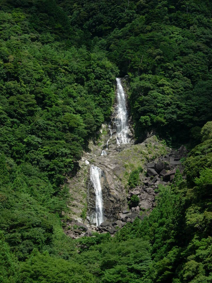 DSCN3788_mid.jpg