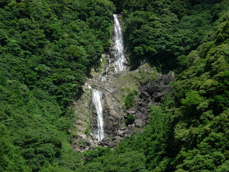 DSCN3790_mid.jpg