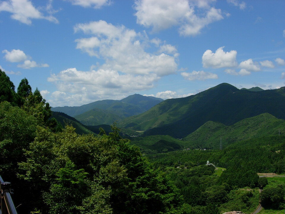 DSCN3822_mid.jpg