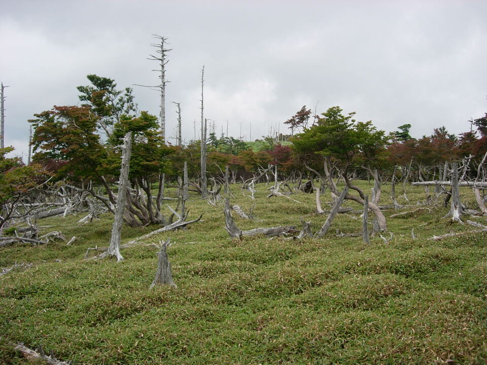 DSCN4274_mid.jpg