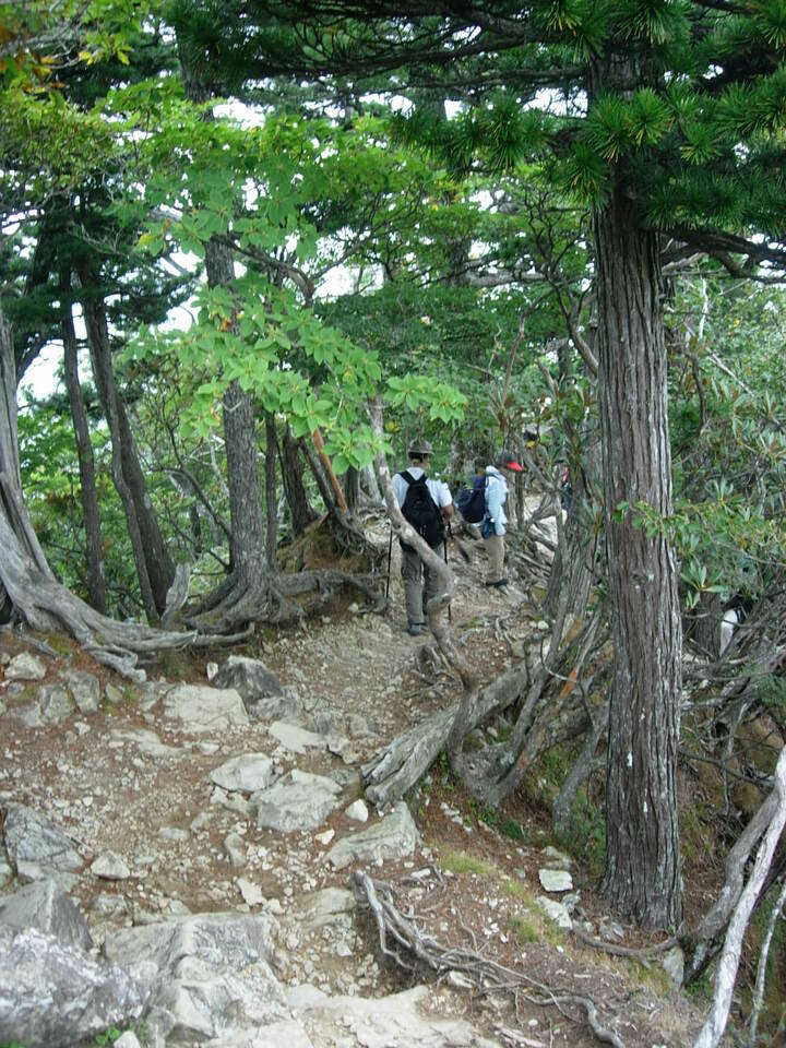 DSCN4303_mid.jpg