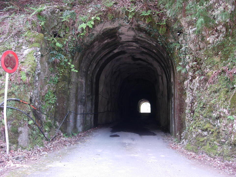 DSCN5256_mid.jpg