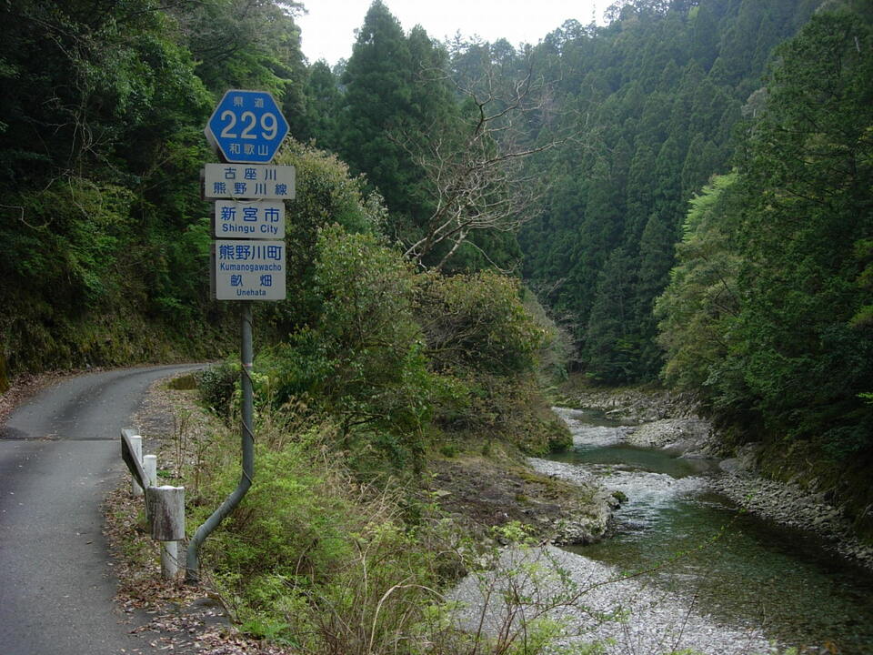 DSCN5279_mid.jpg