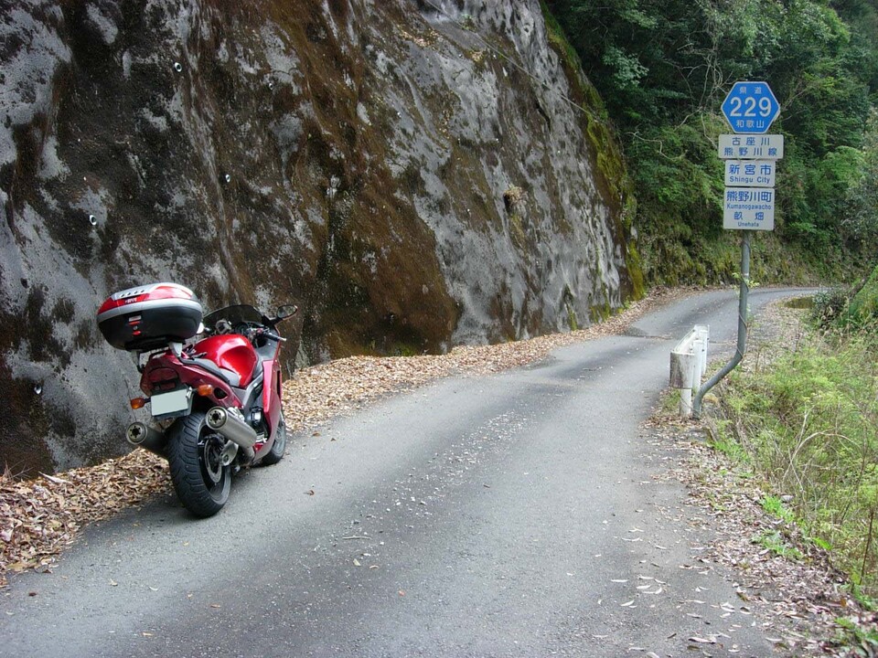 DSCN5281_mid.jpg