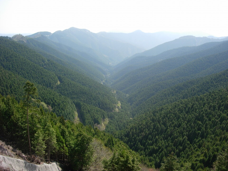 DSCN5534_mid.jpg