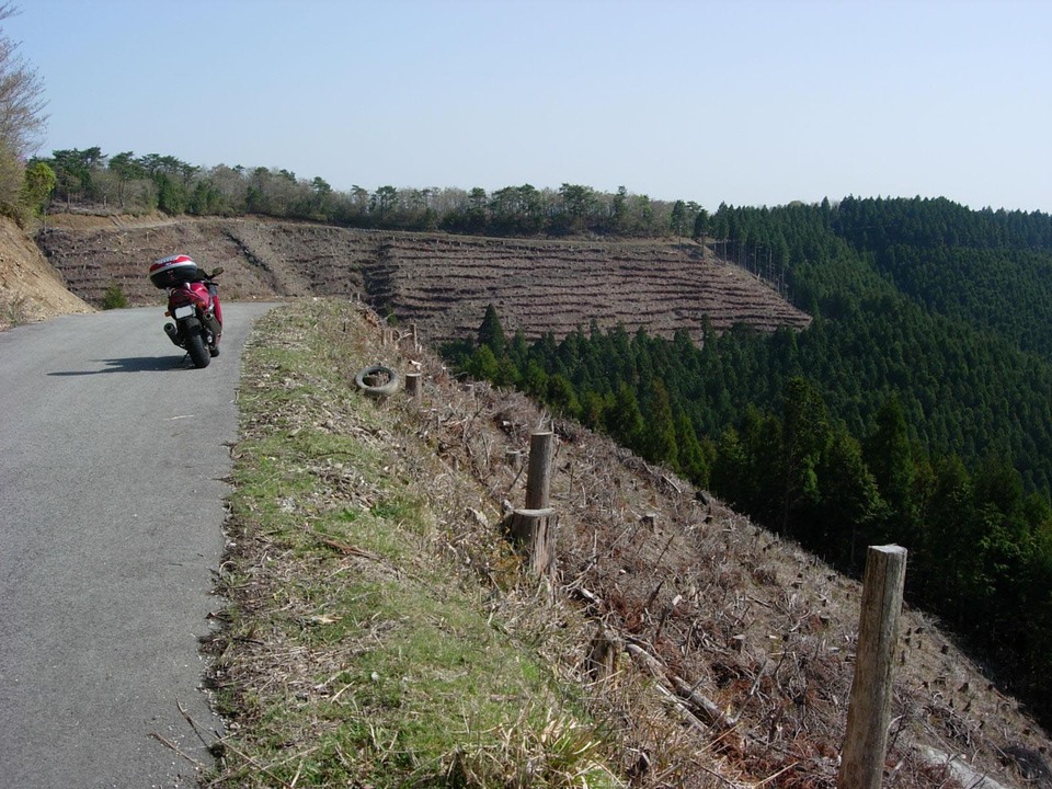 DSCN5538_mid.jpg