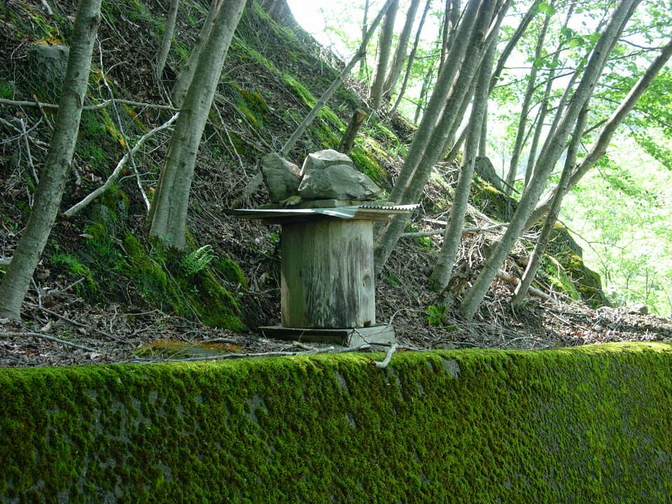 DSCN5546_mid.jpg