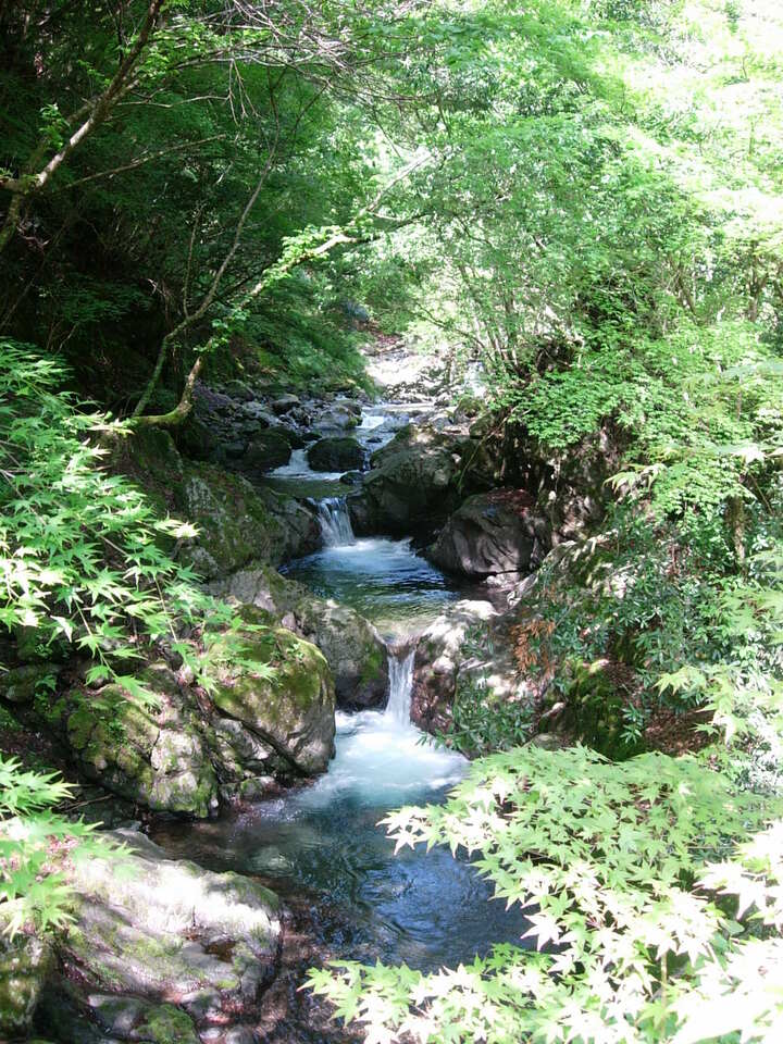 DSCN5559_mid.jpg