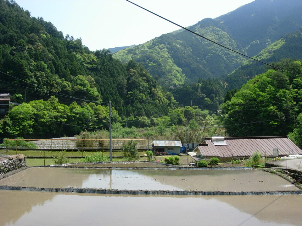 DSCN5595_mid.jpg