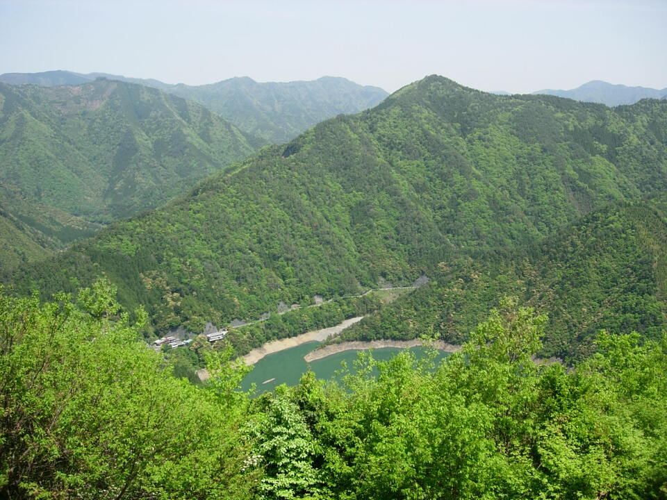 DSCN5611_mid.jpg