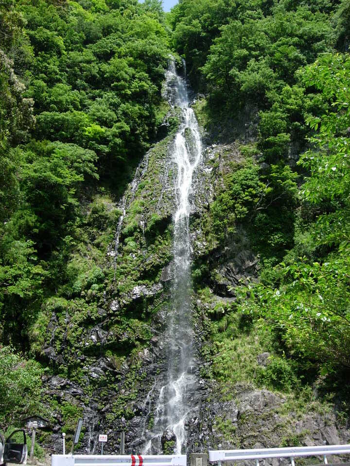DSCN5625_mid.jpg