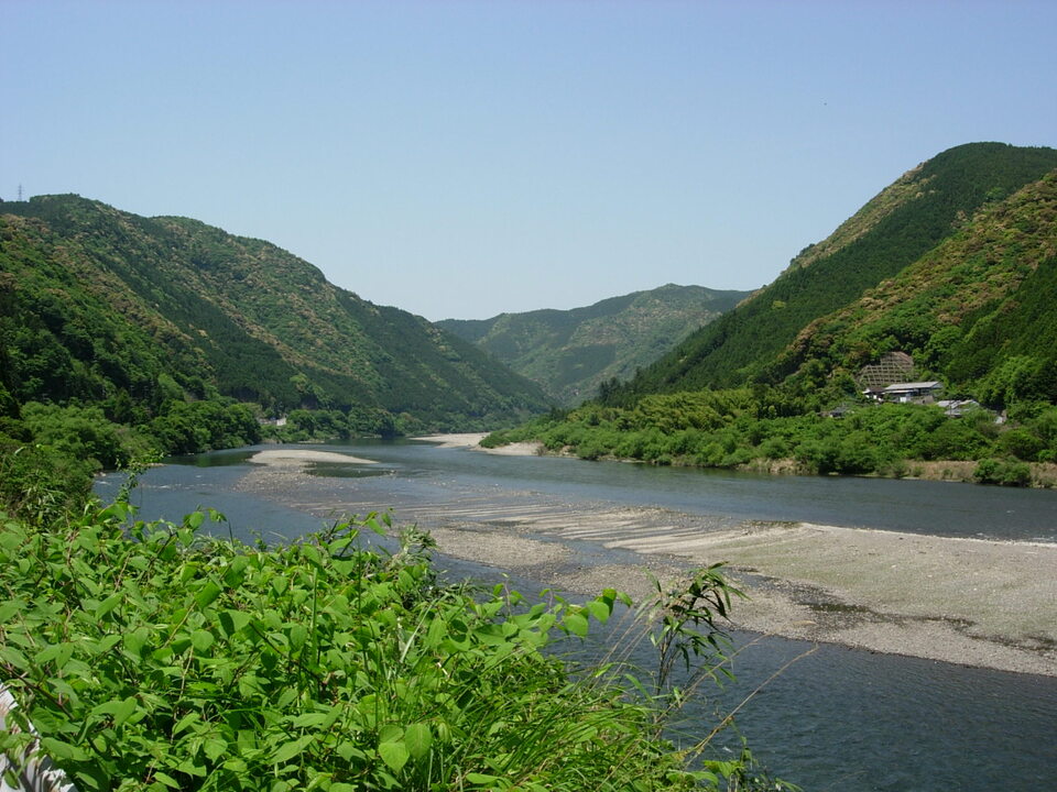 DSCN5636_mid.jpg