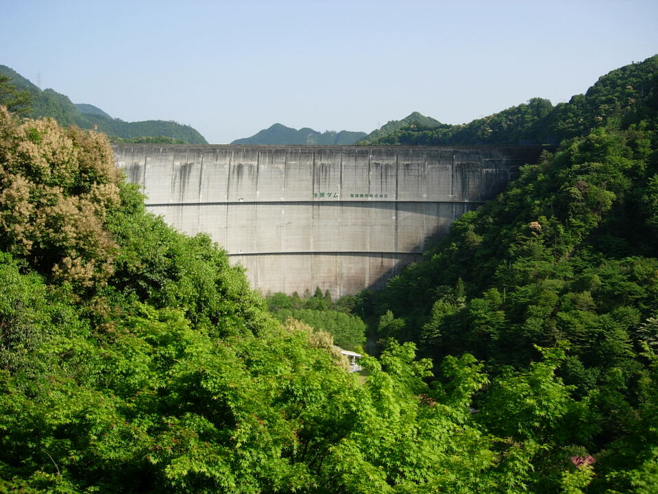 DSCN5654_mid.jpg