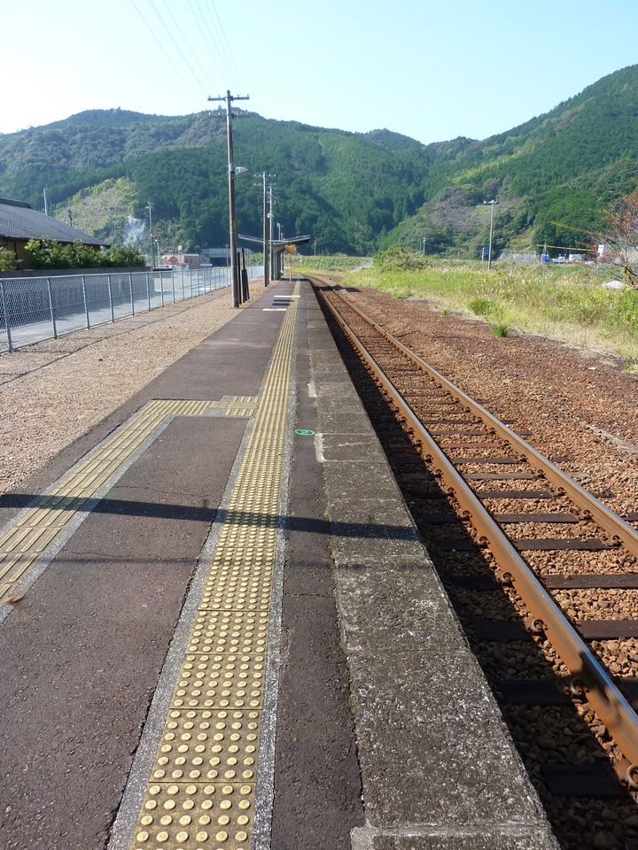 P1000777_mid.jpg