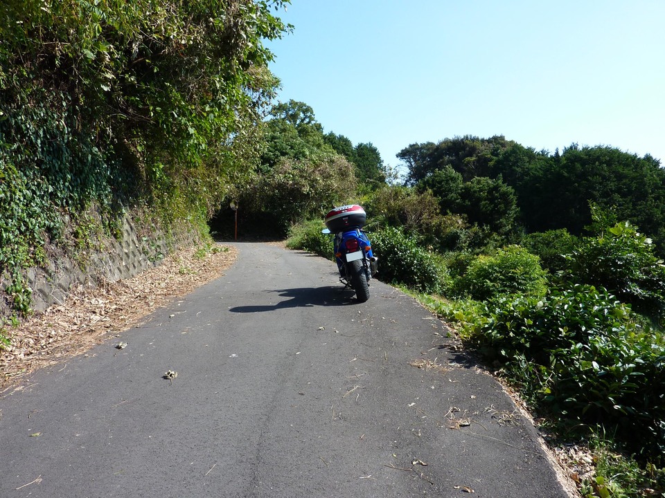 P1000804_mid.jpg