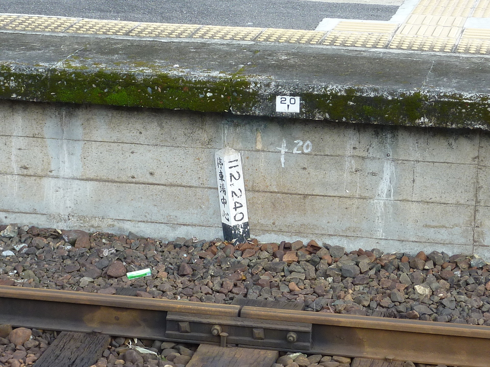 P1000914_mid.jpg