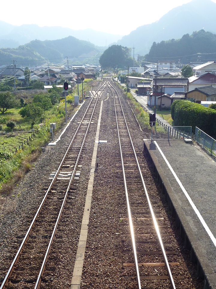 P1000922_mid.jpg