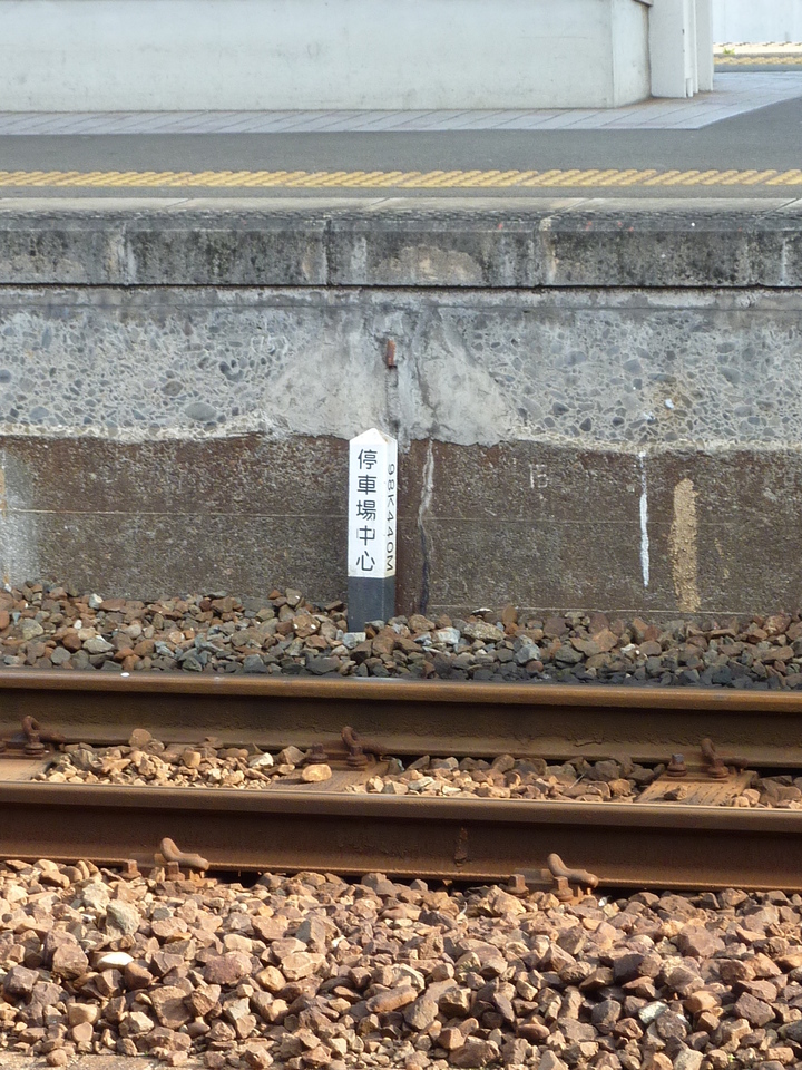P1000928_mid.jpg