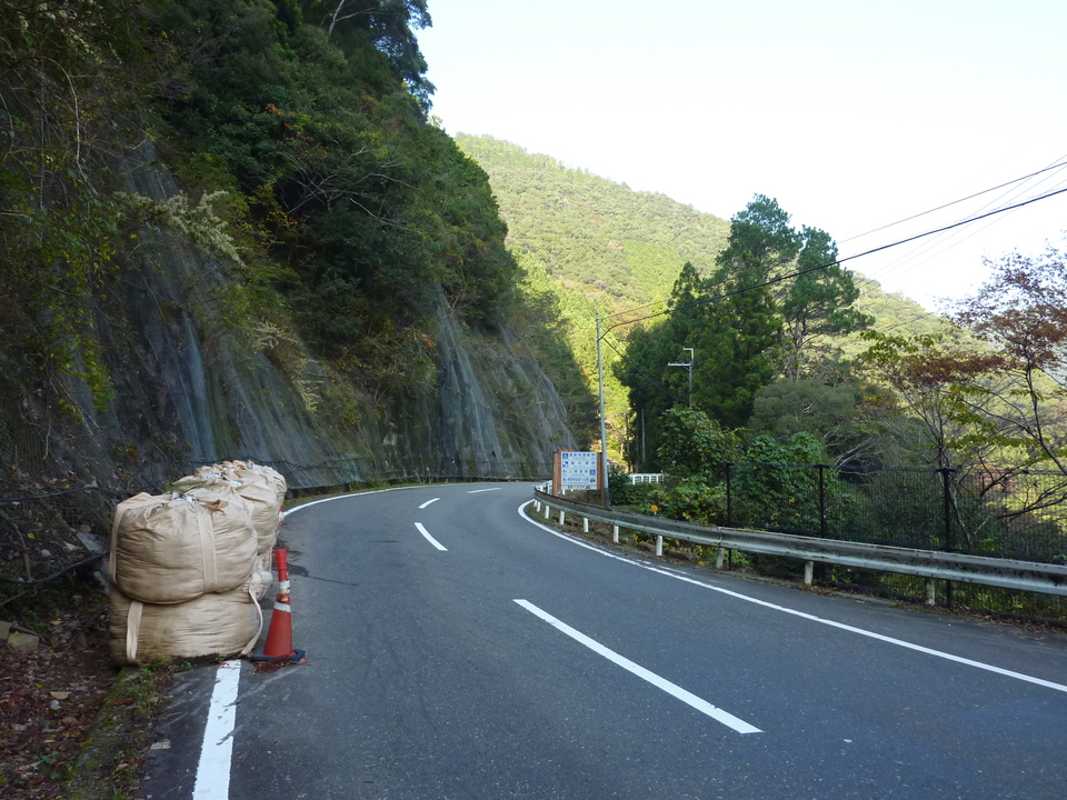 P1010013_mid.jpg