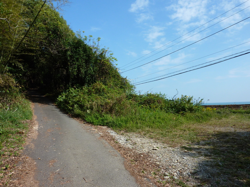 P1010065_mid.jpg