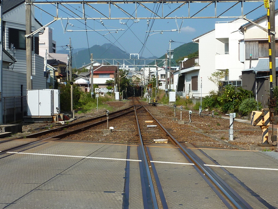 P1010069_mid.jpg