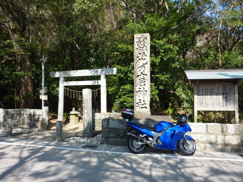 P1010132_mid.jpg