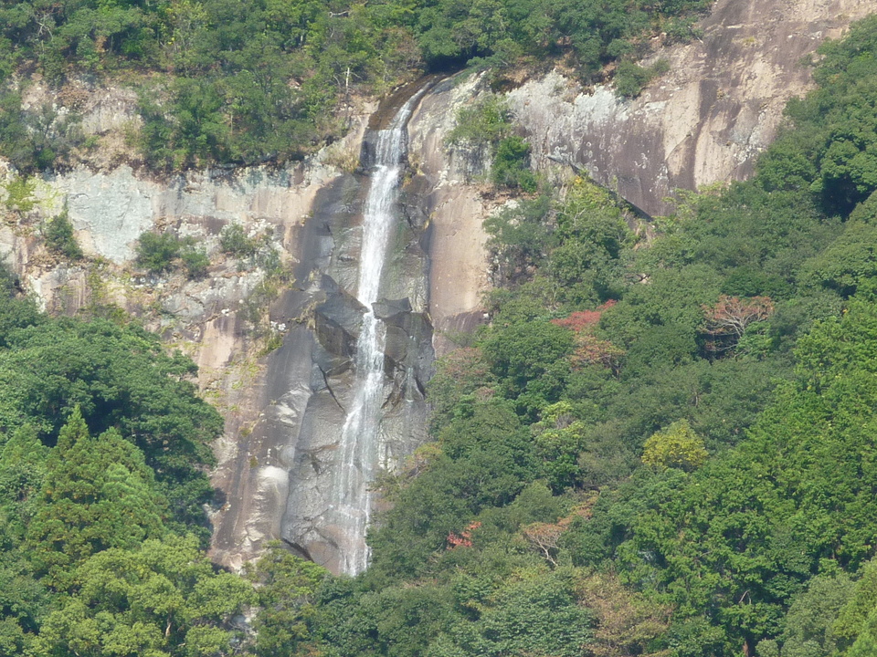 P1010157_mid.jpg
