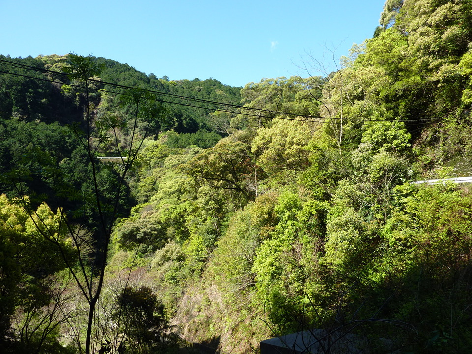 P1010912_mid.jpg