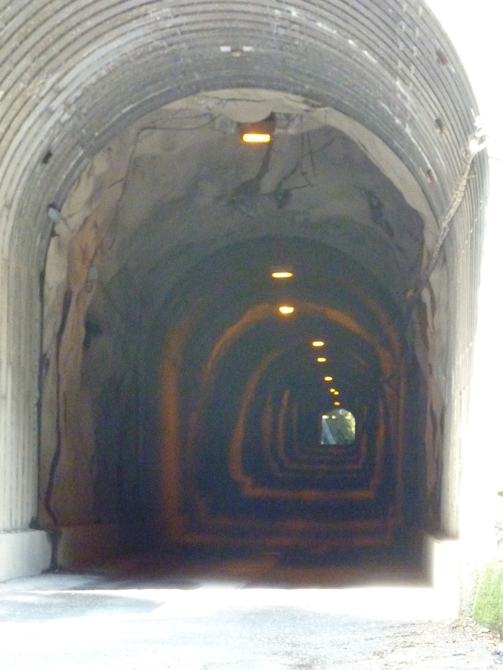 P1010917_mid.jpg