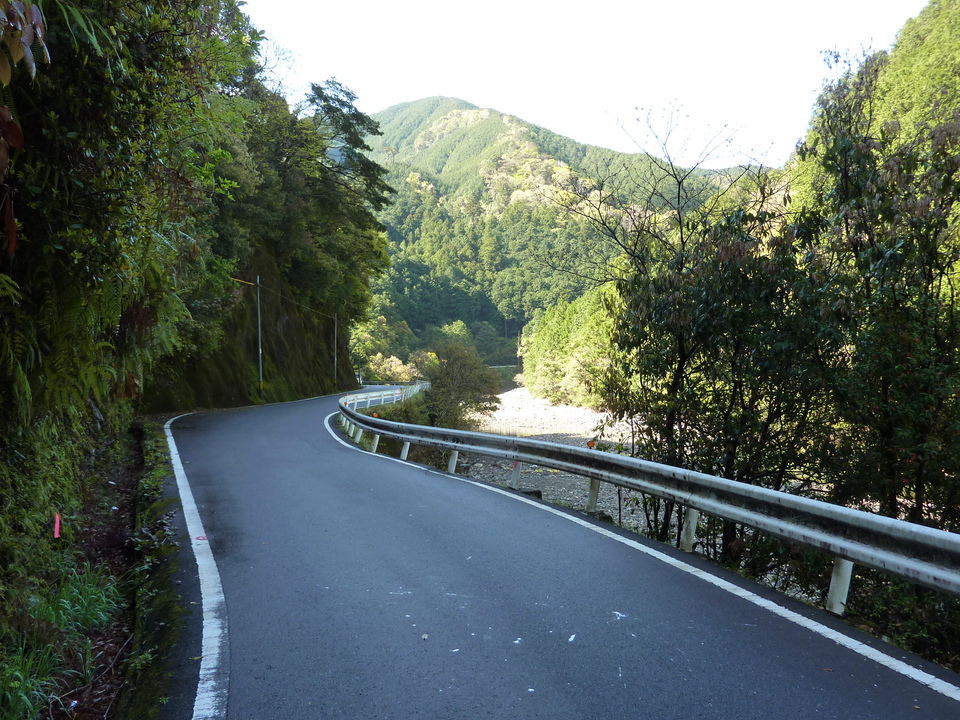 P1010930_mid.jpg