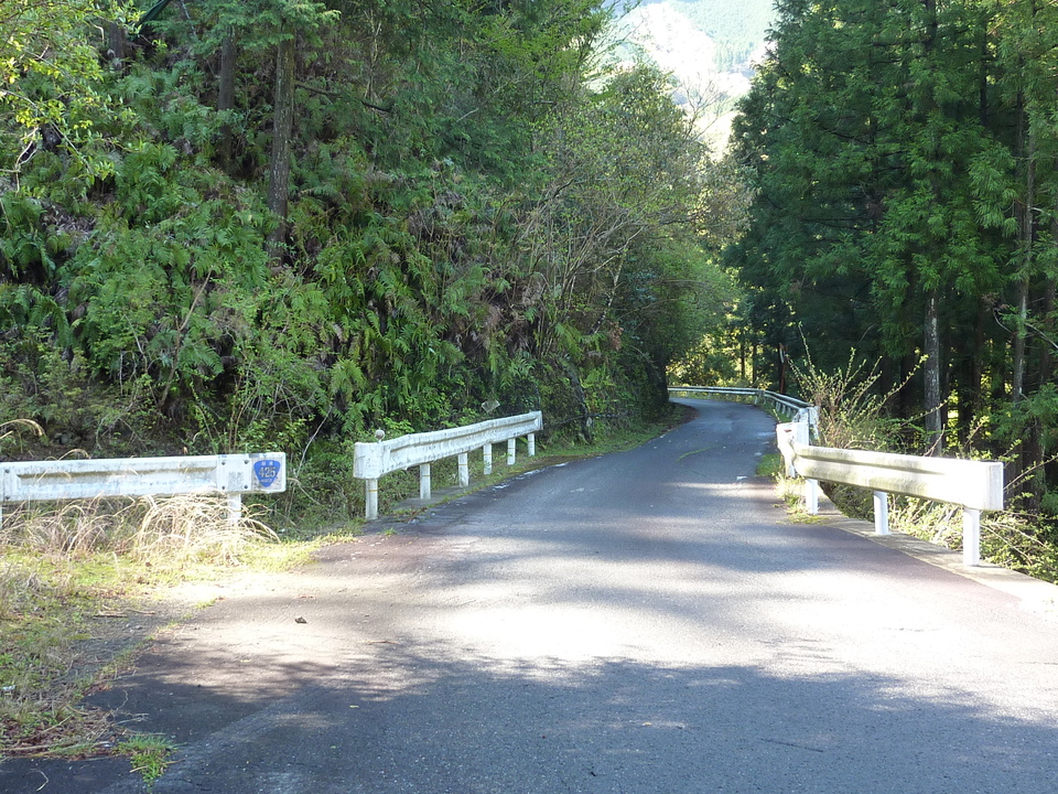 P1010933_mid.jpg