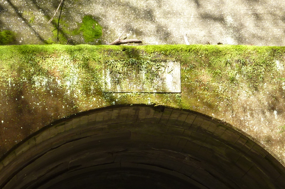 P1010937_mid.jpg