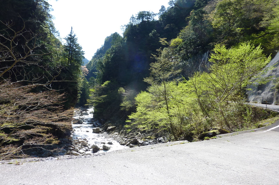 P1010940_mid.jpg