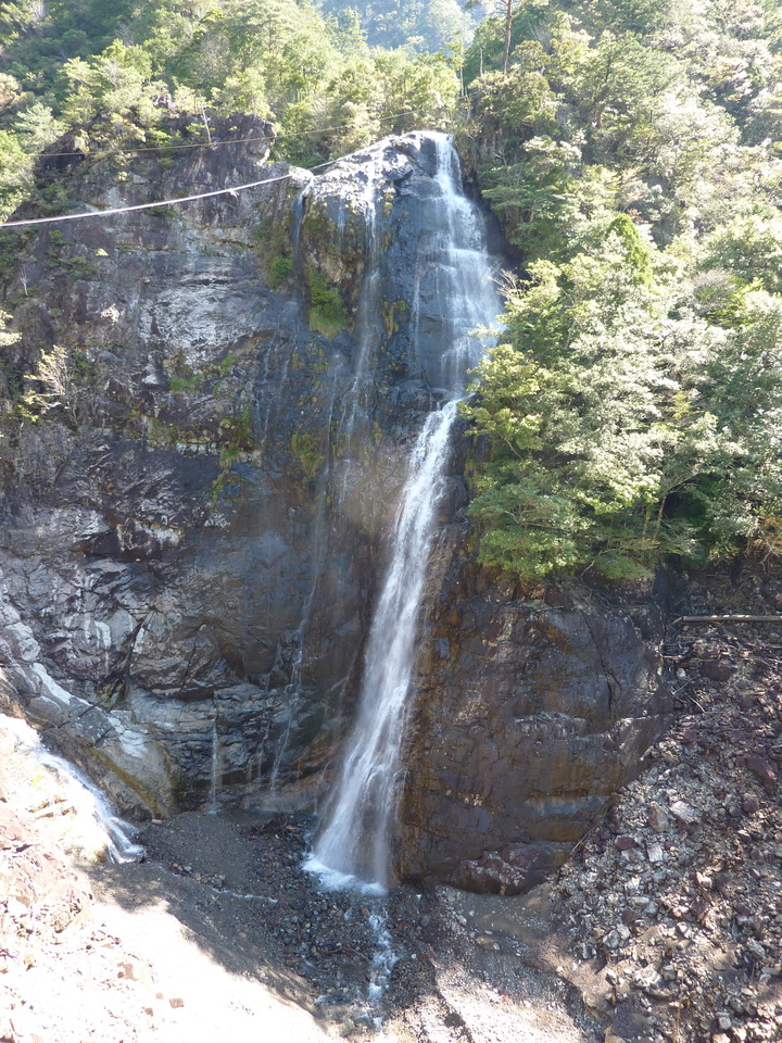 P1010952_mid.jpg