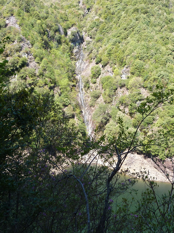 P1010958_mid.jpg