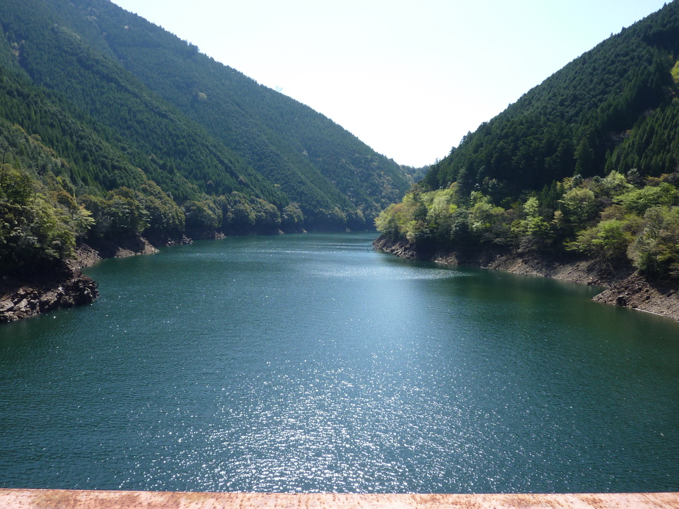 P1010962_mid.jpg